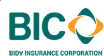 BIC